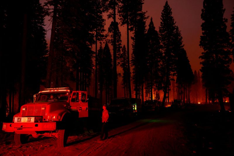 © Reuters. Firefighters monitor the Park Fire near Mill Creek, California, U.S. August 6, 2024. REUTERS/Fred Greaves