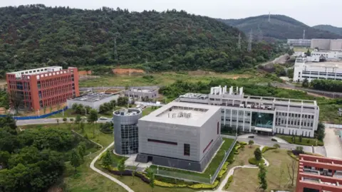 Getty Images Aerial view shows the campus of the Wuhan Institute of Virology, in China's central Hubei province 