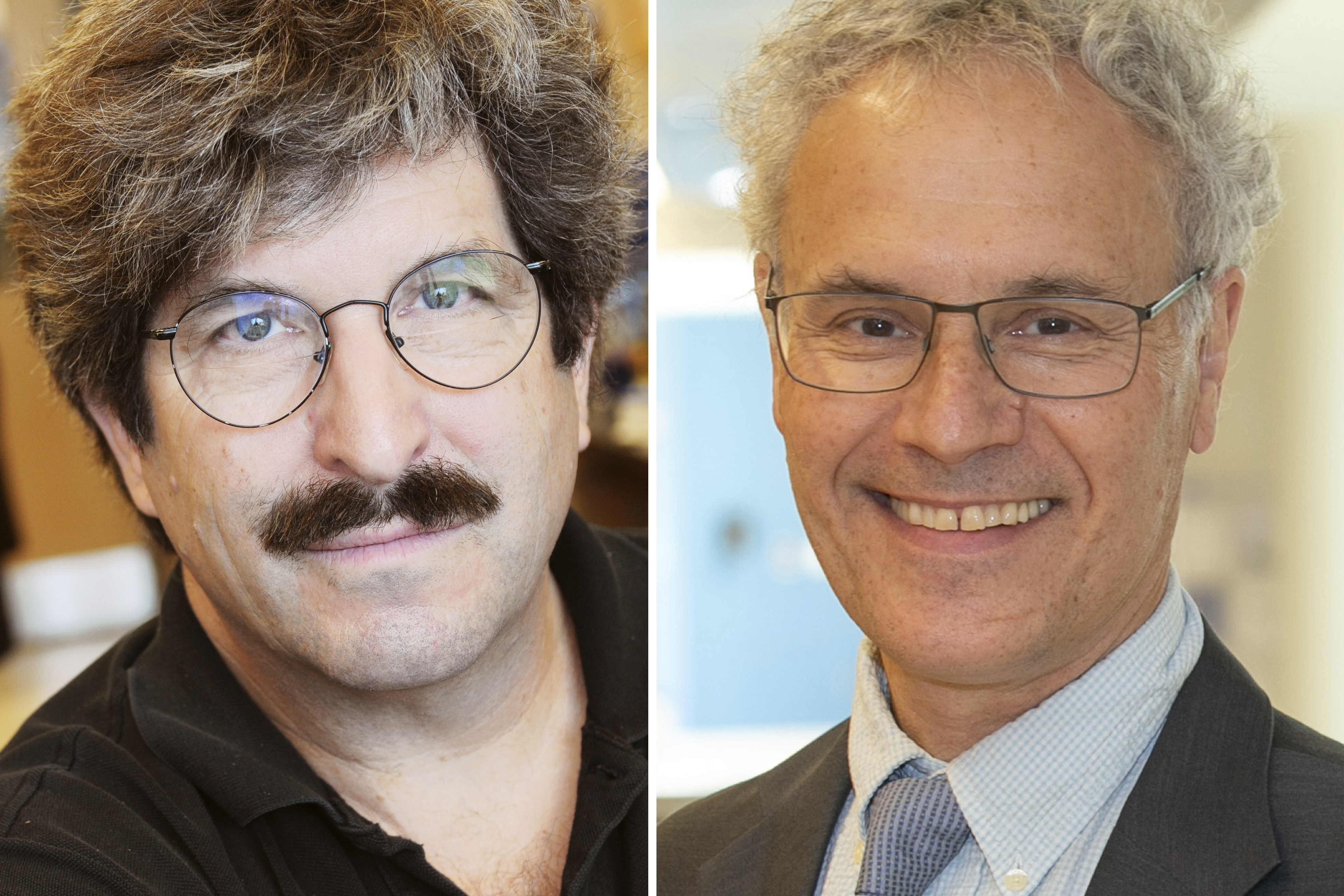 This combo of pictures released by Mass General and UMass show American molecular biologist Gary Ruvkun, left, and UMass Chair in Natural Sciences and professor of molecular medicine, Victor Ambros. 