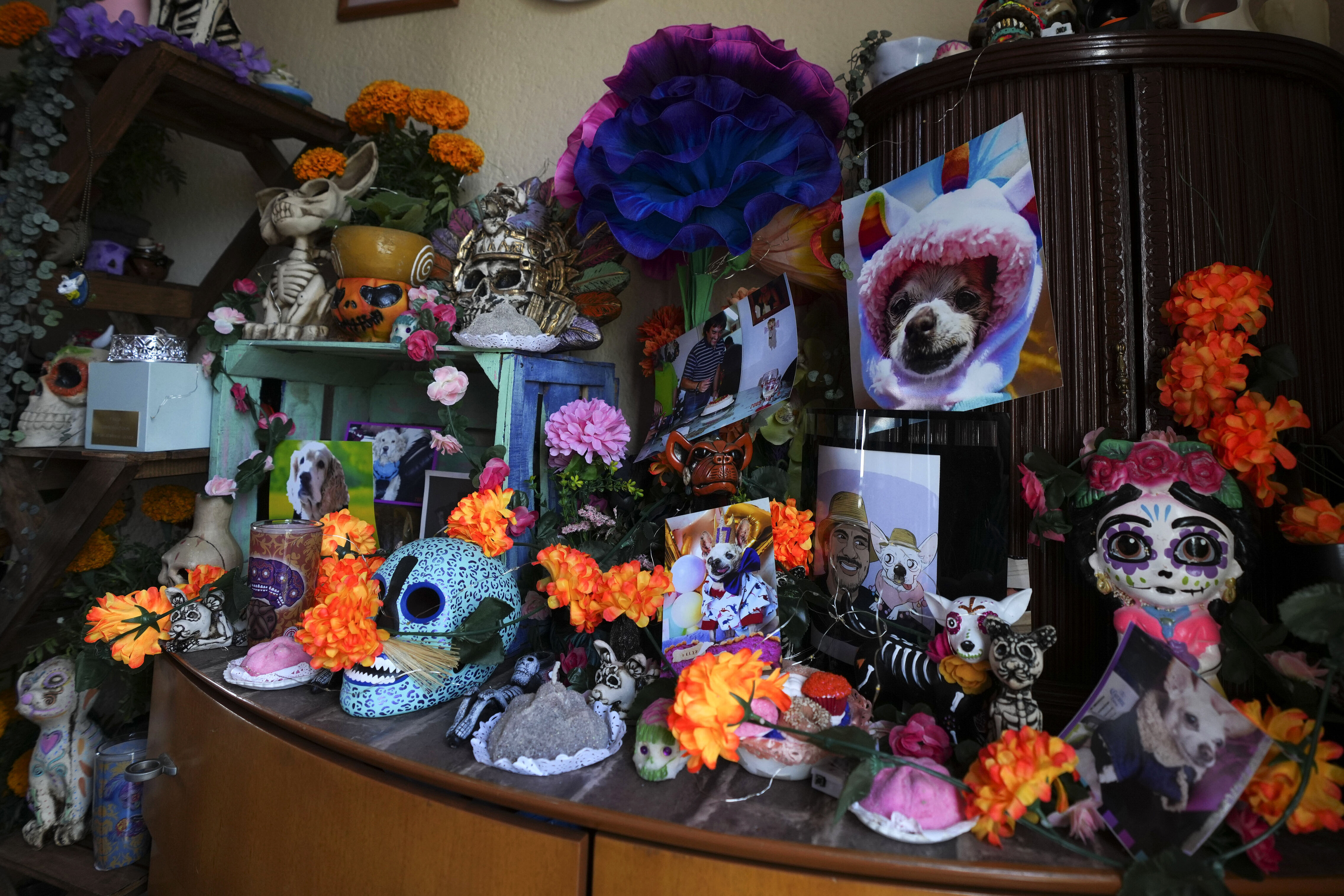 During Mexico's famed Day of the Dead celebrations, even Fido and Tiger get a place at the altars Mexican families set up to honor their deceased loved ones, complete with flowers, candles and photographs.