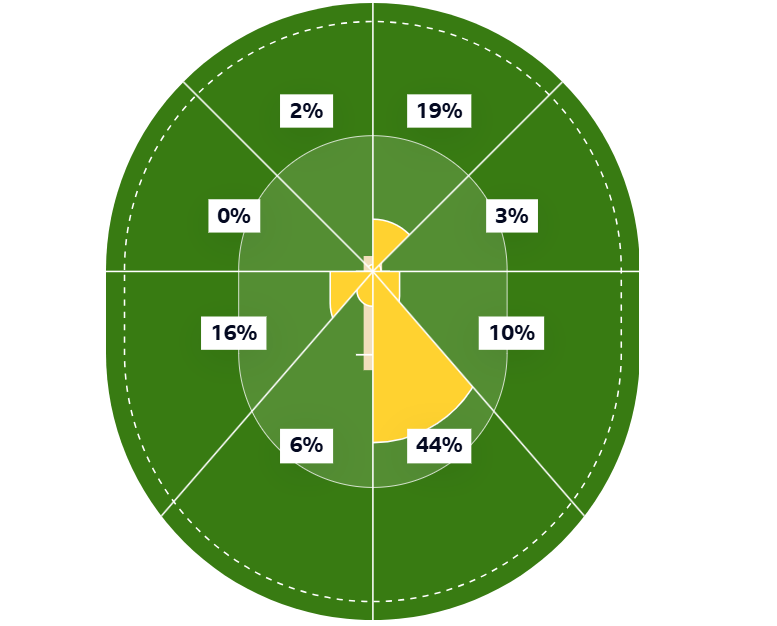 Nat Sciver-Brunt's wagon wheel of her 128 v South Africa 