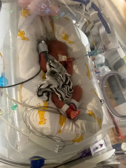 Atlanta Mcintyre A newborn baby still in hospital, seen in her incubator.