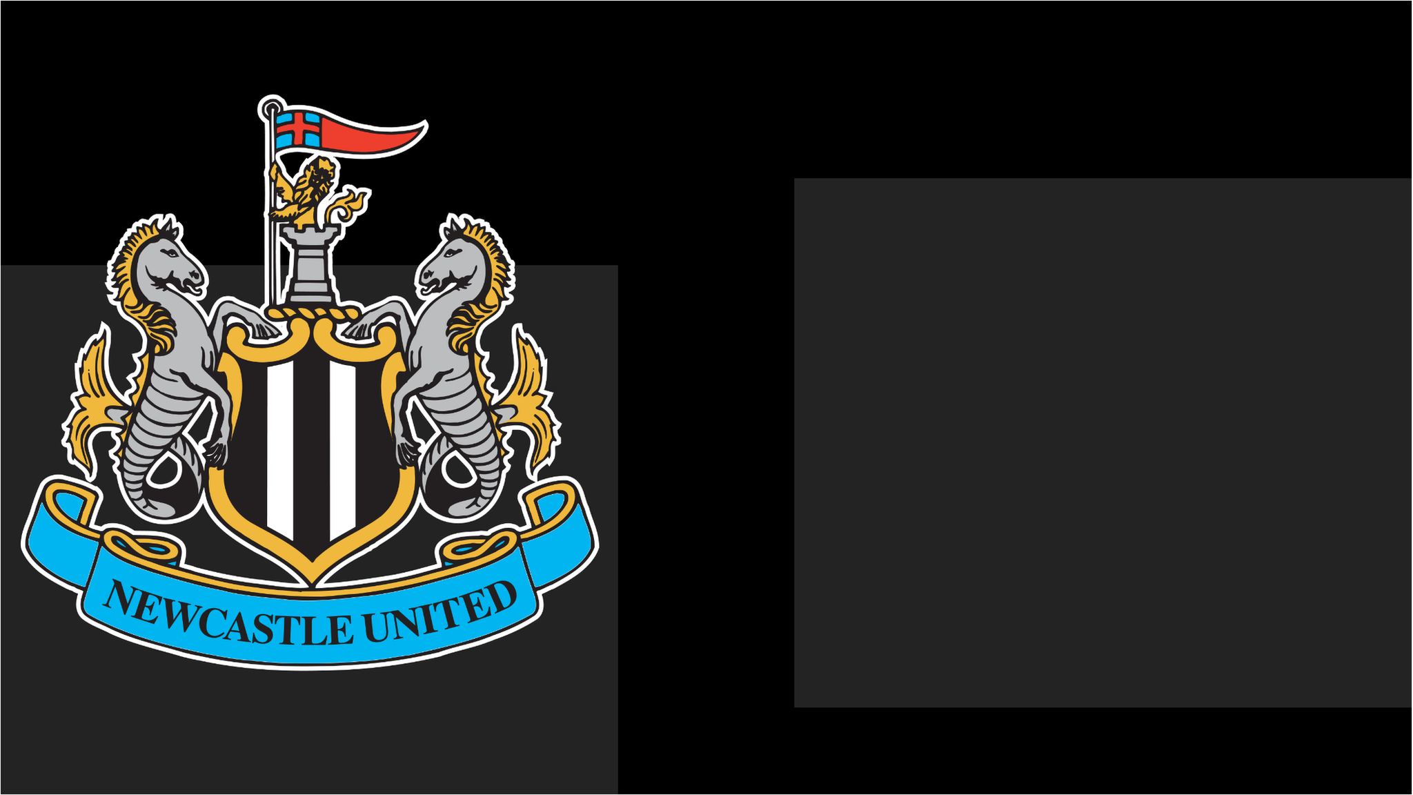 Newcastle United club badge